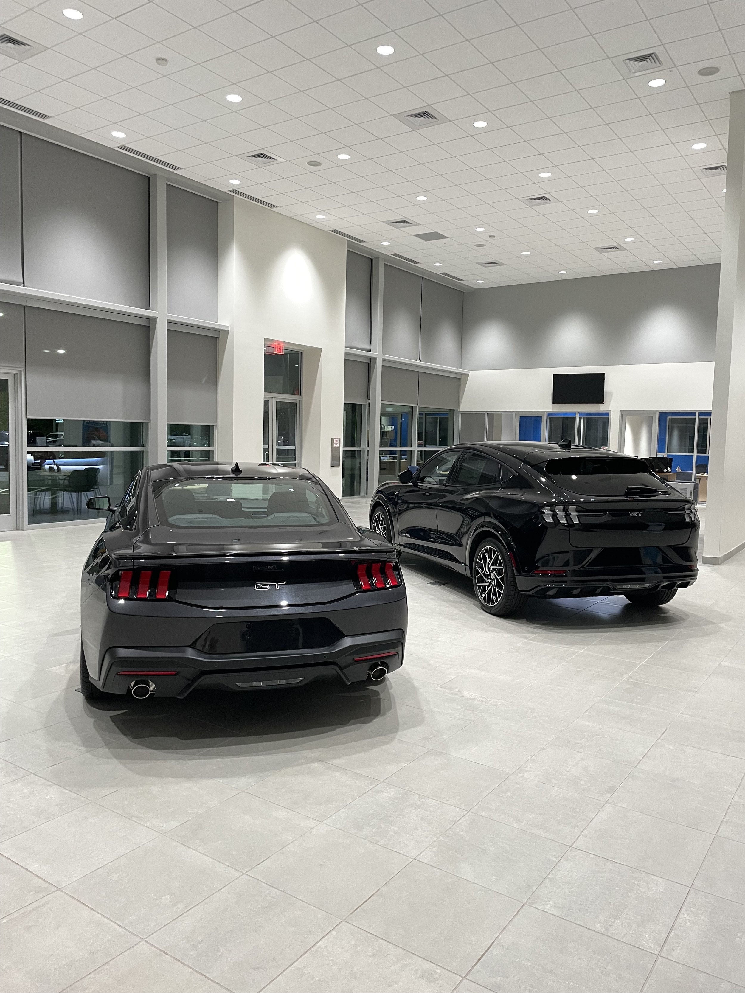 High-gloss automotive dealership showroom in Charlotte
